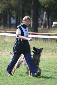 600px-Obedience_(free_heeling)